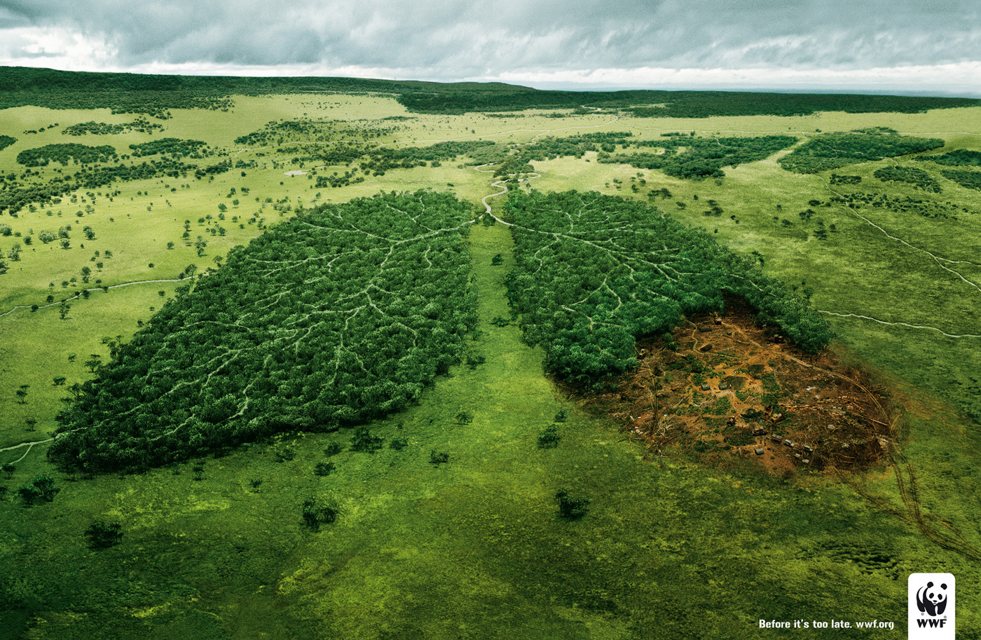 wwf_berfore-it-is-too-late