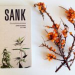 SANK - din guide til byens vilde spisekammer