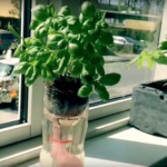 DIY: Sådan laver du nemt et selvvandende system til dine planter